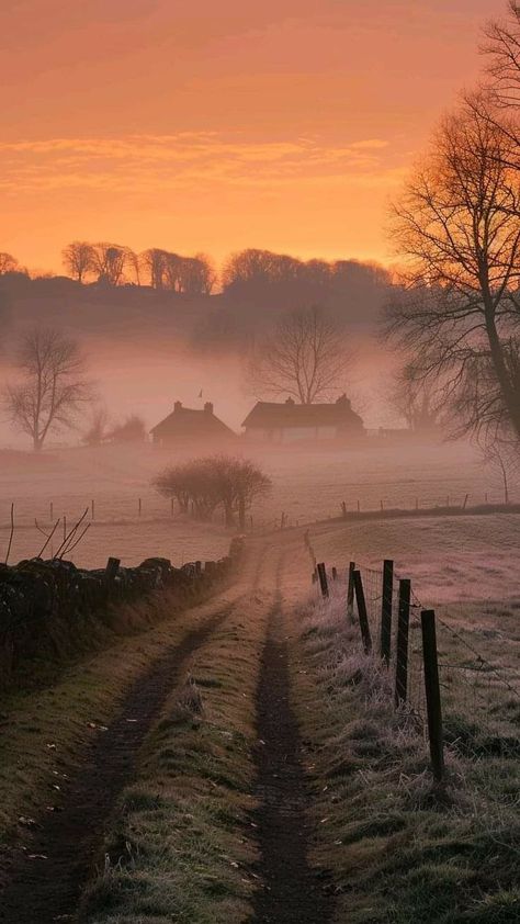 Misty Morning Aesthetic, Early Winter Aesthetic, Misty Photography, Early Morning Photography, Morning Sunrise Aesthetic, Early Morning Aesthetic, Pantone Painting, Fall Reset, Sunrise Field