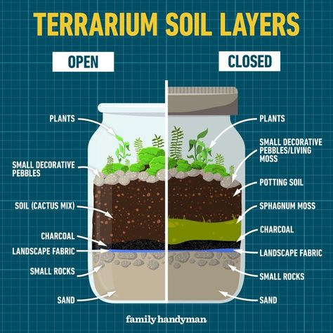 Mason Jar Soil Test, Self Watering Terrarium, Building A Terrarium Diy, Good Plants For Terrariums, Mini Moss Terrarium, Jar Ecosystem Terrariums, Homemade Terrarium In A Jar, Cemetarium Diy, Creative Terrarium Ideas