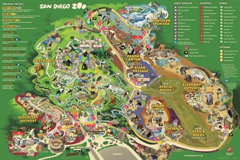 San Diego Zoo map Zoo Map, Zoo Park, San Diego Vacation, Visit San Diego, San Diego Travel, California Vacation, Safari Park, San Diego Zoo, Balboa Park