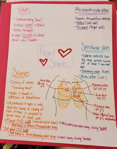 Nursing school normal heart sounds Nurse Hacks, Heart Sounds, Normal Heart, Sound Off, Nursing Tips, Nursing School, Nursing, Bullet Journal, Sound