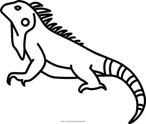 Dibujo De Iguana Para Colorear - Ultra Coloring Pages Patchwork, Iguana Sketch, Iguana Drawing, Iguana Tattoo, Dibujo Simple, Sleeves Ideas, Tattoo Outline, Outline Drawings, Travel Tattoo