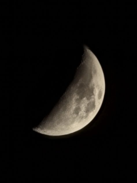 Half Moon Picture clicked on #S21Fe Astronomy, Half Moon Pics, Moon Shot, Moon Pics, Shoot The Moon, Moon Pictures, Space Exploration, Real Photos, Half Moon