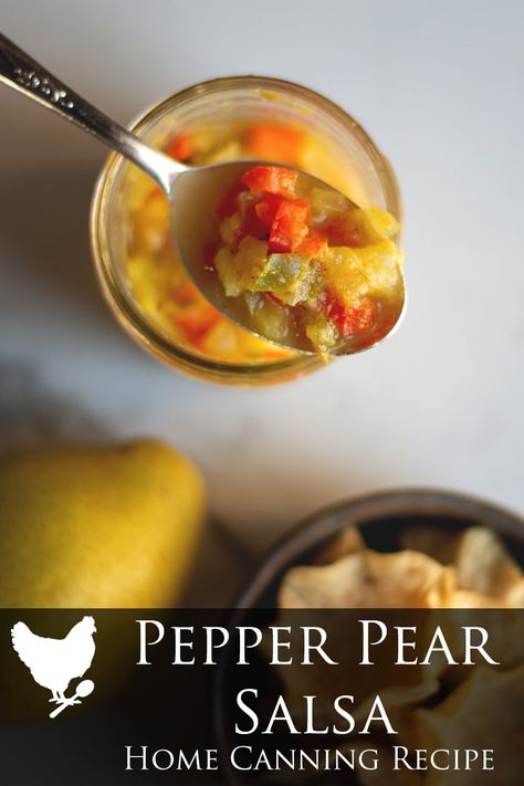 This sweet and tangy Pepper Pear Salsa is great for dipping or as a topping for your favorite meat dish.  This recipe makes about 10 half pint jars. Pear Salsa Canning, Pear Salsa, Cosmopolitan Cornbread, Home Canning Recipes, Meat Dish, Hot Salsa, Pint Jars, Half Pint, Home Canning