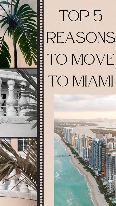 Top 5 Reasons to Move to Miami Move To Miami, Moving To Miami, Miami Real Estate, Downtown Miami, Time Activities, Sunny Beach, Beach Tops, South American, The Question