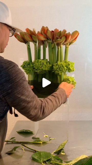 FLORAL DESIGN & WORKSHOP 🇺🇸🇵🇭 on Instagram: "Blooming Amaryllis ; Nature’s Majestic Symphony  . . . . #bloomingamaryllis #freshidea #arrangingtechniques #jun_pinon" Flower Vase Arrangements Decorations, Amaryllis Flower Arrangement, How To Do Flower Arrangements, Flower Arrangements Videos, Vase Decorating Ideas, Flower Vase Ideas, Amaryllis Arrangement, Flower Arrangements Ideas, Floral Arrangement Ideas