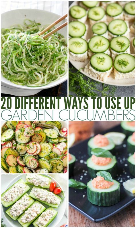 20 Different Ways To Use Up Garden Cucumbers What To Make With Cucumbers From The Garden, Cucumber Snacks Easy, Things To Do With Extra Cucumbers, Using Up Cucumbers, Recipes To Use Up Cucumbers, Ways To Use Up Cucumbers, Picking Cucumber Recipes, Lots Of Cucumbers, How To Use Cucumbers