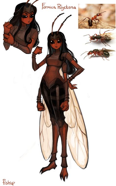 Bug Characters Design, Female Insectoid, Fantasy Bug People, Bug Inspired Ocs, Dnd Insect Race, Insect Hybrid Art, Bugs As Humans, Bug People Art, Insect Character Art