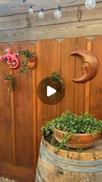 Carolina on Instagram: "I hope this answers some questions!
We will be doing another tutorial on how my husband mounts them to the outside of the house stay tuned !
You can get your very own Cantaritos & Lizards delivered to your door from @donacataart 
#cantaritos #macetas #madeinmexico #plants #garden #diy #tutorial #howto #landscapephotography #luna #sol #moon #artesania #mexico #mexican #hacienda #staytuned #part1" Mexican Hacienda Patio, Outside Of The House, Mexican Hacienda, Plants Garden, Some Questions, Lizards, Garden Diy, Stay Tuned, My Husband