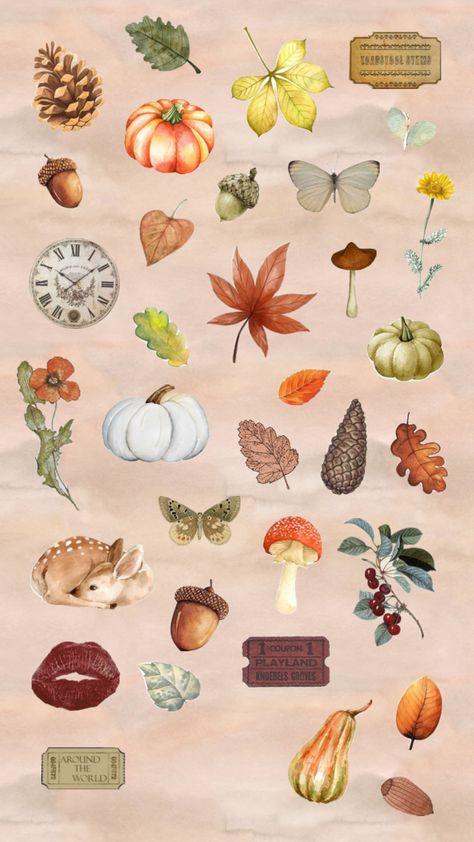 Autumn Autumn Floral Wallpaper, Girly Autumn Wallpaper, Pink Autumn Aesthetic Wallpaper, Autumn Animals Wallpaper, Autumn Theme Wallpaper