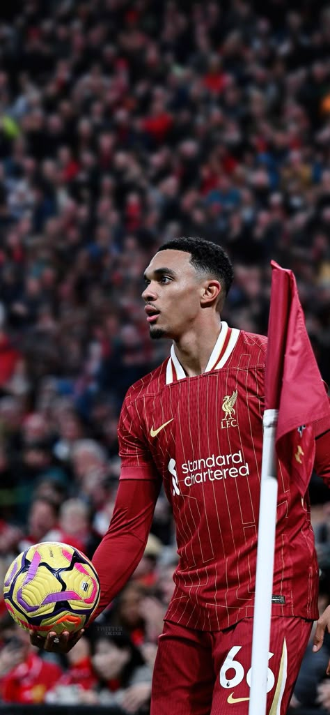 Arnold Liverpool, Arnold Wallpaper, Cody Gakpo, Liverpool Anfield, Ynwa Liverpool, Trent Alexander Arnold, Liverpool Players, Alexander Arnold, Fc Liverpool