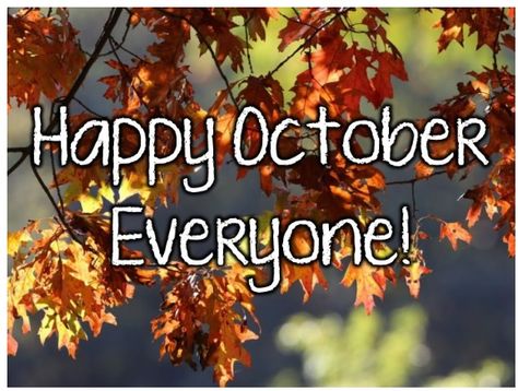 Happy first day of October! Let’s pretend the Summer weather is not here to stay for the next week or so and celebrate this amazing month! Call today to schedule a consultation for window replacement 724-446-0275 Fall has some of the best weather for replacements! #windowinstallationspecialistspgh Happy First Day Of October, Hello October Images, October Images, October Pictures, First Day Of October, Head In A Jar, October Quotes, Fall Lovers, Land Cruiser 200