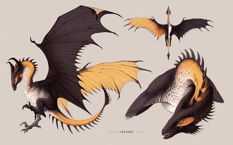 Dragon Anatomy, Devian Art, Dragon Sketch, Beautiful Dragon, Creature Drawings, Dragon Pictures, Fantasy Creatures Art, Dragon Artwork, Mythical Creatures Art