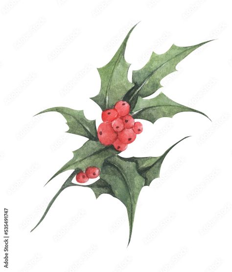 Holly Plant, New Year Symbols, Leaf Drawing, Short Nail, Plant Illustration, Holly Leaf, All About Plants, Red Berries, Botanical Illustration