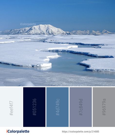 56 Arctic Ocean Color Palette ideas in 2021 | iColorpalette Ocean Color Palette, Ocean Images, Ice Cap, Colour Pallets, Color Palette Ideas, Colors Inspiration, Sea Ice, Color Board, Palette Ideas