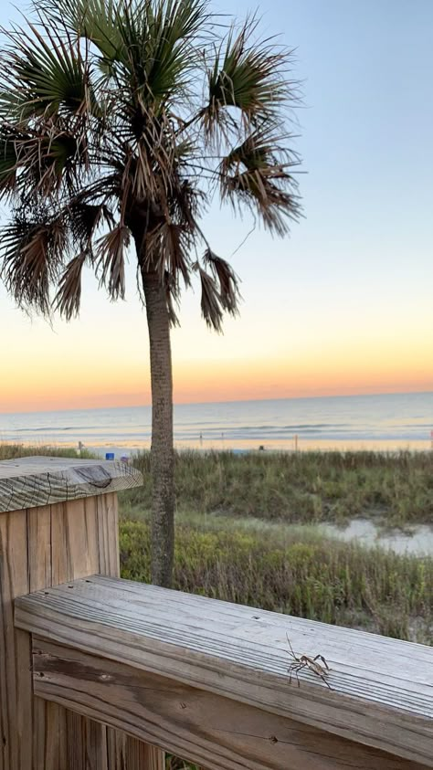 Myrtle Beach House, South Carolina Aesthetic Myrtle Beach, Sumter South Carolina, Myrtle Beach Sunset, Myrtle Beach Wallpaper, Surf Side Beach Sc, Charleston Wallpaper, Myrtle Beach Aesthetic, Mrtyle Beach