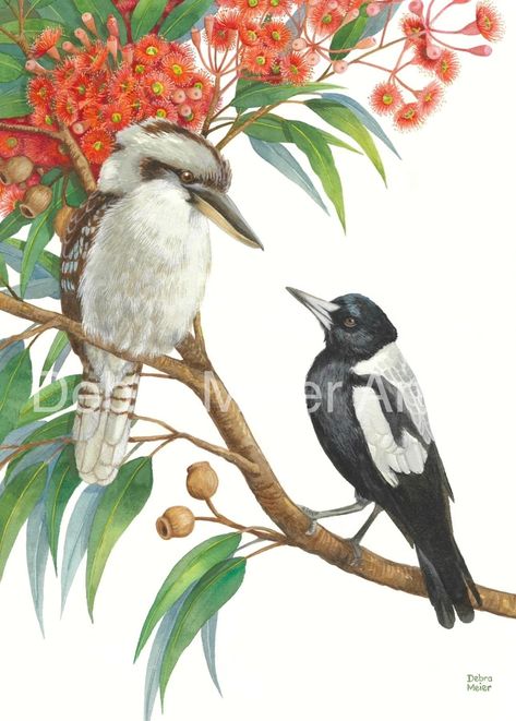 This Digital Prints item by DebraMeierArt has 49 favourites from Etsy shoppers. Is dispatched from Australia. Listed on 20 Aug, 2024 Australian Wall Art, Kookaburra Painting, Magpie Painting, Australian Magpie, Living Overseas, Australian Fauna, Australian Trees, Australian Painting, Australian Flora