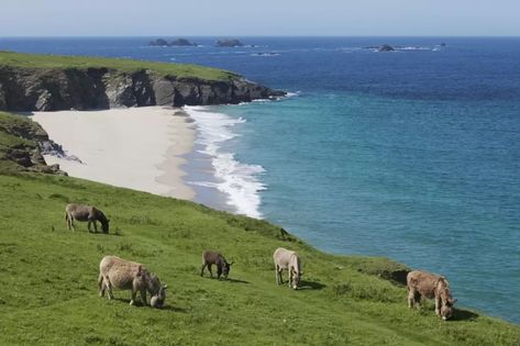 Best things to do in County Kerry, Ireland | CN Traveller Skellig Michael, Irish Travellers, Kerry Ireland, County Kerry, Ireland Landscape, Voyage Europe, The Milky Way, Europe Summer, Ireland Travel