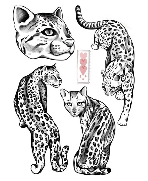 Cat Tattoo Big, Big Cat Tattoos, Ocelot Drawing, Ocelot Tattoo, Big Cat Tattoo, Jaguar Tattoo, Leopard Tattoos, Serval Cats, Cat Stretching