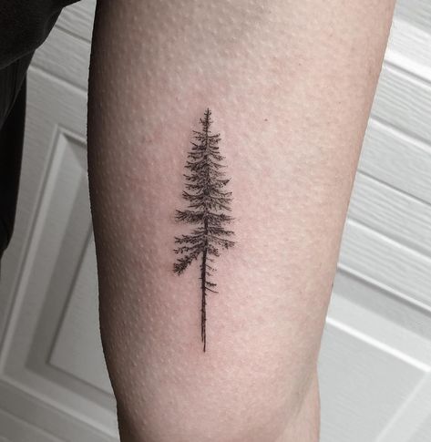 Foggy Tattoo, Foggy Trees, Portland Tattoo, Nature Tattoos, Leaf Tattoos, Maple Leaf Tattoo, Portland, Tatting, Tattoo Ideas