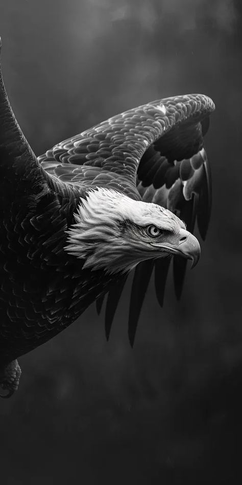 ->> more details in ai-img-gen.com Bald Eagle Images, Eagle Image, Elements Of Drama, Aigle Royal, Crown Aesthetic, Eagle Images, Eagle Wallpaper, Stormy Sky, Eagle Bird