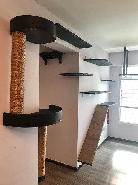 Testimonials: Catification — The Cat People (SG) Diy Cat Shelves, Cat Room Decor, Cat Climbing Wall, Katt Grejer, Cat Bedroom, Cat Wall Shelves, Diy Cat Tree, Cat Wall Furniture, Cat House Diy