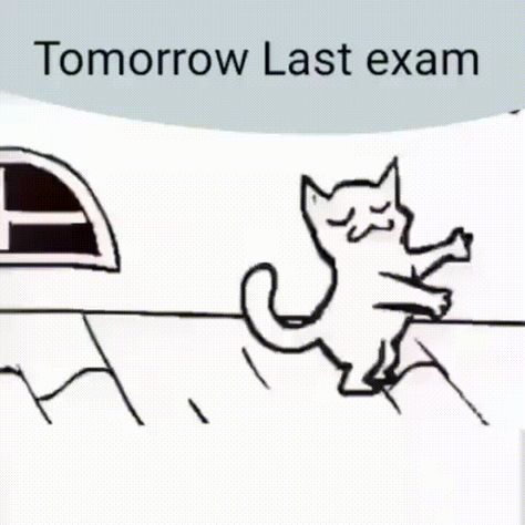 Tomorrow Last Exam, Exam Good Luck Quotes, Good Luck For Exams, Exams Memes, Last Exam, School Life Quotes, Exams Funny, Exam Quotes, Exam Quotes Funny