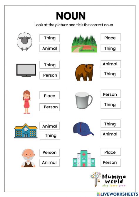 Nouns For 2nd Grade, Noun Work Sheet For Grade 1, Worksheet For Noun For Grade 1, Noun For Kindergarten, Grade 1 Nouns Worksheet, Type Of Nouns Worksheet, Sorting Nouns Worksheet, Noun Sorting Worksheet, Noun Activities For Grade 2