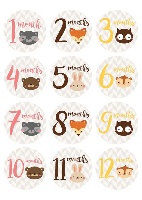 *Free* printable baby milestone stickers from Countryside Amish Furniture. Print these adorable woodland animal milestone stickers on 2.5" diameter labels or simply print them out on standard letter paper! Baby Diary, 1 Month Baby, Toddler Milestones, Baby Month Stickers, Milestone Stickers, Baby Printables, Baby Monthly Milestones, Month Stickers, Baby Stickers