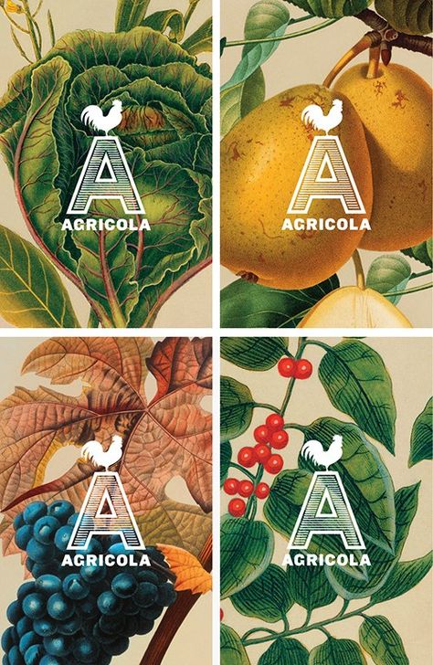 Agricola restaurant identity Seeds Packaging, Catering Logo, Restaurant Identity, 달력 디자인, The Letter A, Restaurant Logo, Visual Identity Design, Communication Art, Restaurant Branding