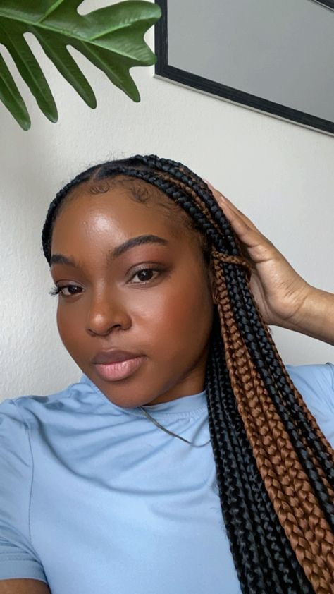 Box Braid Brown And Black, Ideas For Braids Black Women, Brown Peek A Boo Knotless Braids, Black Brown Knotless Braids, Brown And Black Knotless Braids With Curls, Braids With Brown And Black, Black And Light Brown Box Braids, Colour 30 Peekaboo Braids, Brown Twist Braids Black Women