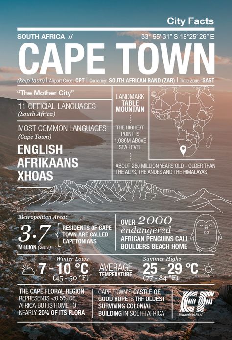 The toe of Africa: Cape Town Infographic ‹ GO Blog | EF GO Blog Africa Infographic, Africa Painting, Boulder Beach, Travel Infographic, Travel Facts, African Travel, Africa Do Sul, Travel Africa, South Africa Travel