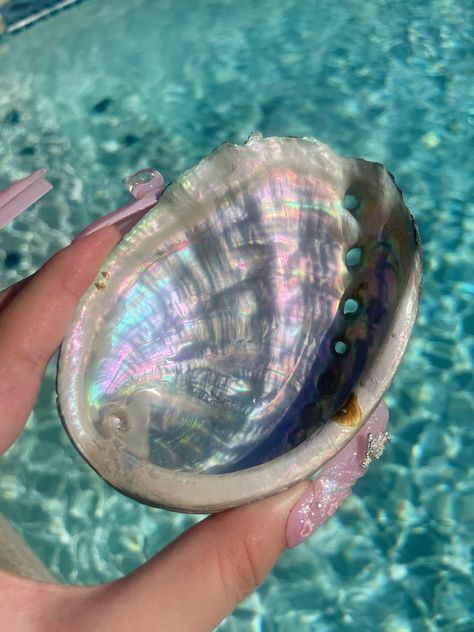 ✨ Abalone Shell ✨    size: 4-4.5" inches     These beautiful Iridescent Abalone Shells are perfect for decor, storing jewelry, crystals, incense and smudge sticks. These are natural so please don't expect them all to look exactly the same. I took pictures of all the ones I have in stock that you can choose from. You can see that they're all slightly different but similar to one another. Some may have small chips due to it being fragile when shipped. These shells are definitely unique and beautif Abalone Shell Aesthetic, Blue Curacao Drinks, Crystals Incense, Shell Home Decor, Iridescent Shell, Storing Jewelry, Mermaid Aesthetic, Blue Curacao, Ocean Vibes