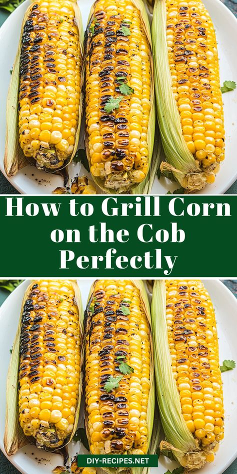 Master grilling corn on the cob with this easy guide! Choose between husked or husk-on methods, and top with butter, sea salt, and black pepper. Grilled Corn On The Cob In Husk, How To Grill Corn, Grilling Corn, Grill Corn On The Cob, Grill Corn, Corn On The Cob Recipe, Grilled Corn On The Cob, Cranberry Chicken Salad, Fried Tomatoes