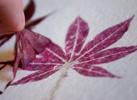 Drawing & Painting Without Pencils or Paint | Handmade Charlotte Deco Nature, Eco Printing, Nature Crafts, Crafty Craft, Diy Projects To Try, Crafts To Do, Crafty Stuff, Crafty Things, Leaf Prints