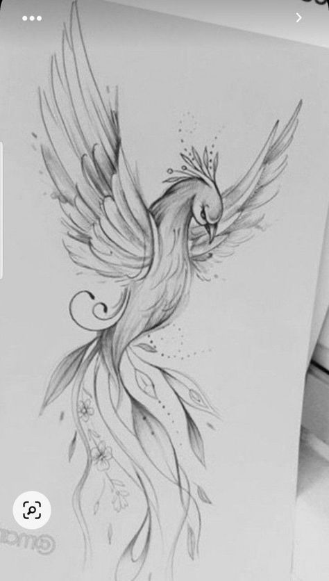 Ideas tattoo for woman Pheonix Tattoo For Women On Chest, Pheonix Tattoo For Women On Forearm, Floral Phoenix Tattoo, Harry Potter Pheonix Tattoo For Women, Rising Phoenix Tattoo Feminine Back, Pheonix Tattoo For Women On Back, Phoenix Tattoo Feminine Small For Women, Phoenix Art Drawing, Phoenix Tattoo Design For Women