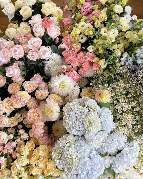 Soft Colors Aesthetic, Pastel Flower Aesthetic, Soft Spring Aesthetic, March Aesthetic, Girly Flowers, Flower Boquet, Flowers Pastel, Girly Pop, Flower Guide