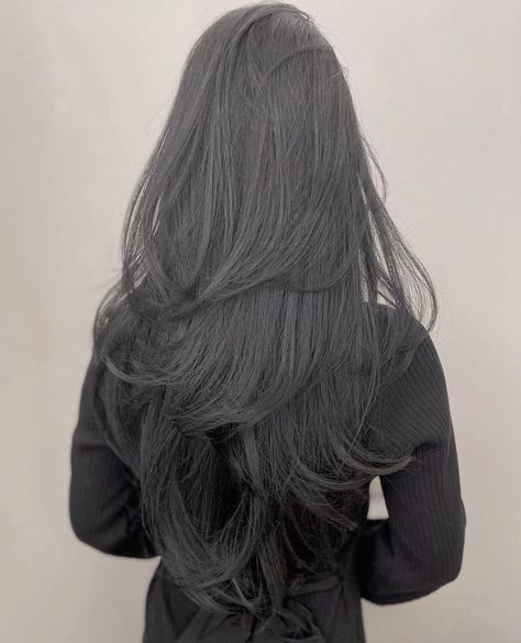 Long Black Colored Hair Hairstyles, Jet Black Hair Long Layers, Long Black Hair With Lots Of Layers, Haircuts For Long Black Hair Straight, Long Layers On Black Hair, Long Hair Layers Black, Long Layers With Face Framing Pieces Black Hair, Layers Long Black Hair, V Layered Haircut Long