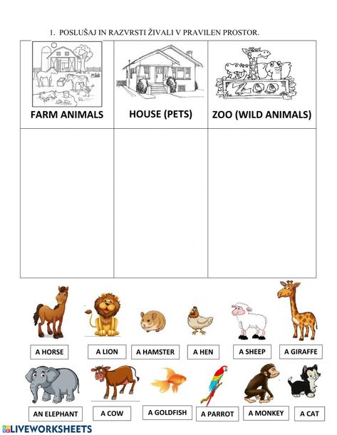 Animals - pet, farm, ZOO worksheet Zoo Animals Worksheet, Zoo Animal Activities, Animals Worksheet, Farm Animals Preschool, Farm Animals Activities, Animal Activities For Kids, Family Worksheet, Animal Classification, Animal Worksheets