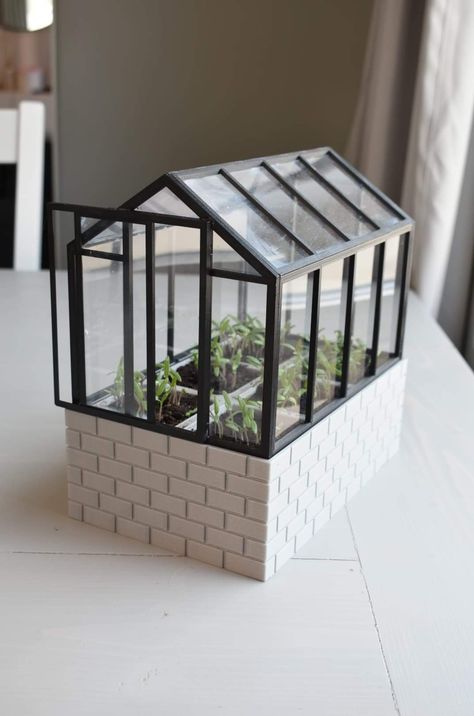 3d Printed Greenhouse, Dollhouse Greenhouse Diy, Mini Greenhouse Ideas, Green House Model, Diy Mini Greenhouse, Science Exhibition Projects, Miniature Greenhouse, Craft Show Booths, Flower Shop Design