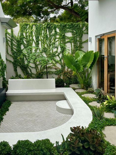 Succulents stepping stone concrete seat herringbone courtyard creeping vine Pool And Garden Design, Living Pool, Pool And Garden, Courtyard Gardens Design, Pool Landscape Design, Desain Lanskap, Backyard Garden Design, Garden Pool, Courtyard Garden