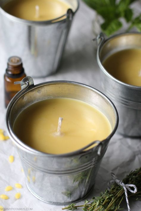 How To Make Citronella Candles Diy Outdoor Candles, Hiking Yosemite, Diy Citronella, Candles Cozy, Outdoor Meals, Citronella Candle, Citronella Essential Oil, Tick Repellent, Pint Mason Jars