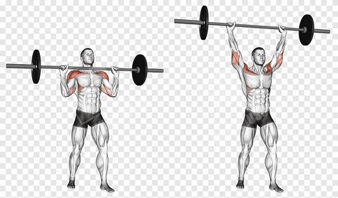 Barbell Shoulder Press The barbell should be placed on a power rack so that it is directly in front of you. The bar should be easy to lift off the rack, without bending too low or standing on tip-toes. Your feet should be shoulder-width apart. Keep your knees straight and your hips open. The barbell should be held in […] Barbell Shoulder Press, Barbell Press, Military Press, Barbell Workout, Bar Workout, Hip Openers, Power Rack, Lift Off, Shoulder Press