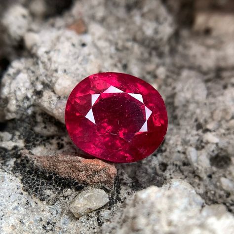 This is how a pigeon blood Ruby looks 😍 Gem Details: Carat weight: 7.20 Carats Origin: Thailand Shape: Oval Mixed Color: Pigeon Blood Treatments: Heat Lab Report: Certified . . Save for future reference and follow us for more 👉🏻 @leadinglightjewellery #rubystone #pigeonbloodruby #gemlover Blood Ruby, Lab Report, Ruby Stone, Pigeon, Follow Us, Color Mixing, Ruby, Thailand, Lab