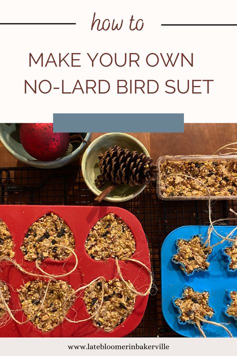 Vegetable shortening suet recipe to hang outside for wild birds. The fat base makes it a high-energy food that is especially valuable in cold weather. Suet is also high in protein. Depending on the mix, it can provide extra nutrients and minerals for backyard birds. Home Made Bird Food Recipes, Bird Suet Recipes Homemade, Suet Bird Feeder Diy, Bird Suet Recipes, Bird Food Recipes, Bird Suet Recipes Homemade Winter, Homemade Bird Food, Homemade Suet Cakes Wild Birds, Homemade Suet For Birds