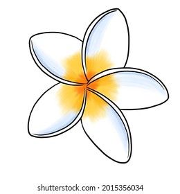 Trochetia Boutoniana Drawing, Hawaii Flower Drawing Simple, Plumeria Drawing Sketches, Tiare Flower Drawing, Tropical Flower Drawing Easy, How To Draw A Plumeria, Hawaiian Flower Drawing Easy, Hawian Flowers Drawings, Beach Flowers Drawing