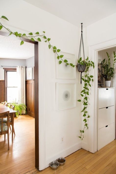 Dans l'entrée, la vigne d'intérieur prend ses aises Home Improvement Projects, Smart Tiles, Small Room Decor, Pothos Plant, Room With Plants, Design Del Prodotto, Easy Home Decor, Cheap Home Decor, 인테리어 디자인