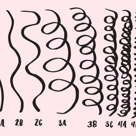 How to Figure Out Your Curly Hair Type and Why It Actually Helps Black Hair Types Texture, Type 4 Hair Curl Pattern, Render Curly Hair, Types Of Black Hair, Curl Pattern Chart, Curl Type Chart, Types Of Curly Hair, Curl Types, Hair Pattern