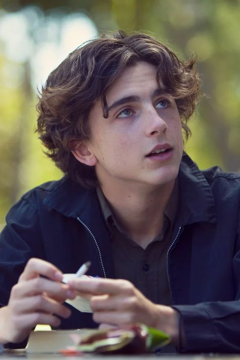 Timothee Chalamet, Hair, Black