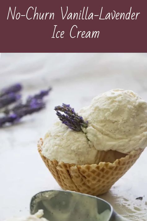 No-Churn Vanilla-lavender ice cream is summer on a spoon! Infuse the fresh floral essence of lavender into a sweet, creamy, no-churn ice cream that is easy to make. This ice cream will transport you to the serene lavender fields of France. Honey Lavender Ice Cream, Lavender Honey Ice Cream, Honey Ice Cream, Lavender Ice Cream, Ice Chips, Vanilla Lavender, Lavender Syrup, No Churn Ice Cream, Lavender Vanilla