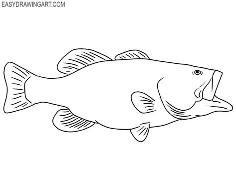 Bass Fish drawing tutorial Bass Fish Drawing Easy, Simple Bass Fish Tattoo, Bass Painting Easy, Bass Drawing Fish, Bass Outline, Bass Fish Drawing, Bass Fish Tattoo, Fish Drawing Tutorial, Simple Fish Drawing